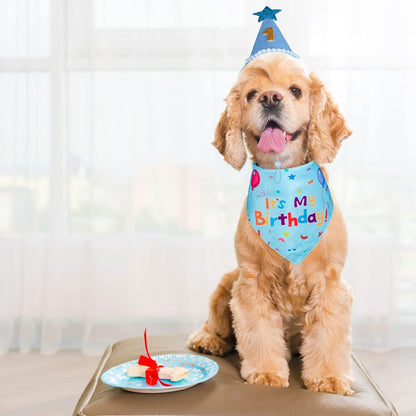 Dog Birthday Party Supplies – Premium Bandana & Hat Set for Dogs