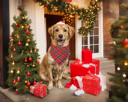 2PCS Christmas Dog Bandanas – Red and Green Plaid with Tassels