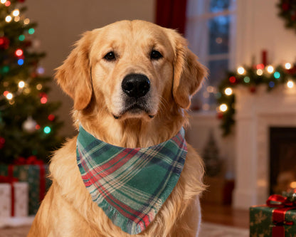 2PCS Christmas Dog Bandanas – Red and Green Plaid with Tassels