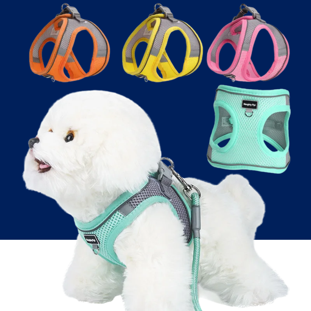 Adjustable Dog Harness & Leash Set for Small Dogs – Comfortable & Safe Walking Gear