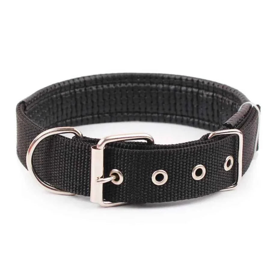 Solid Nylon Dog Collar – Strong & Durable for All Dog Sizes