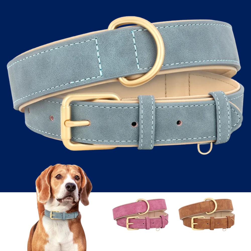 Premium Leather Dog Collar for Style and Durability
