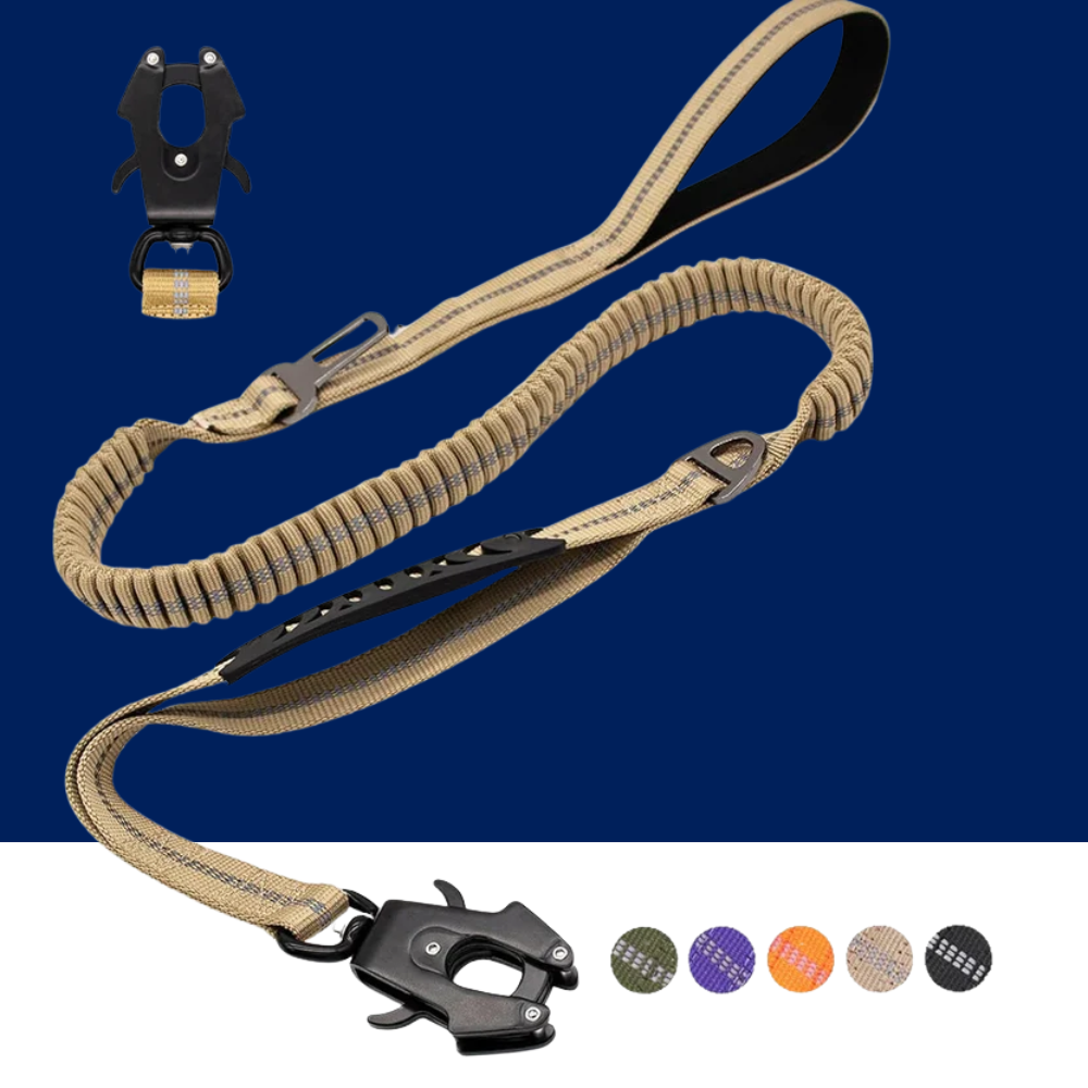 Reflective Shock Absorbing Bungee Dog Leash with Seatbelt Clip