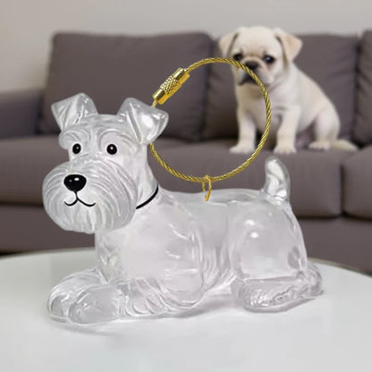 Clear Pet Hair Memorial Keepsake Capsule | Dog Fur Container Keychain for Pet Lovers