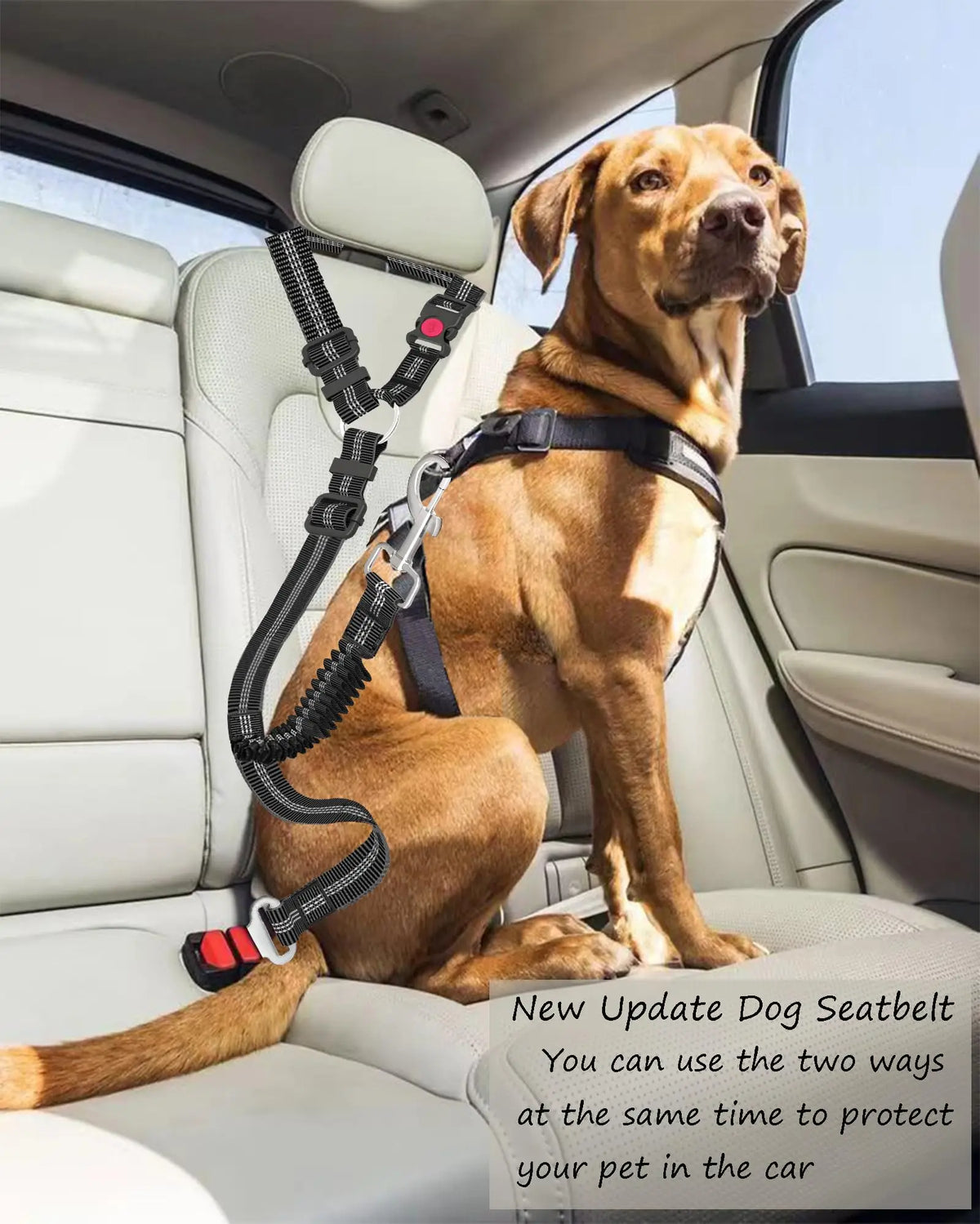 Adjustable Heavy-Duty Dog Car Seat Belt – Striped Nylon Safety Leash for Large Dogs
