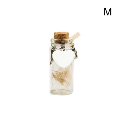 Pet Memorial Bottle for Pet Hair | Glass Keepsake Urn with Silver Accessories
