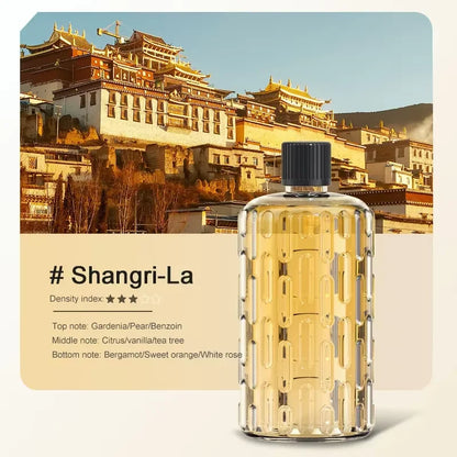 50ml Wall Mounted Aroma Diffuser with Time Setting | USB Rechargeable Air Freshener
