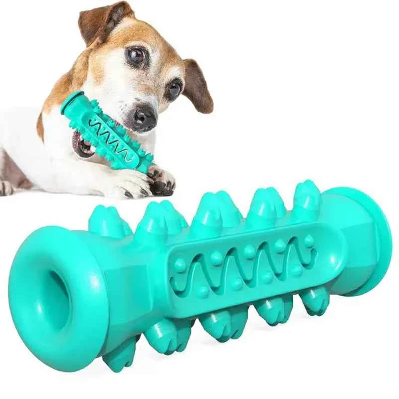 Chew-Resistant Rubber Dog Toy for Dental Health