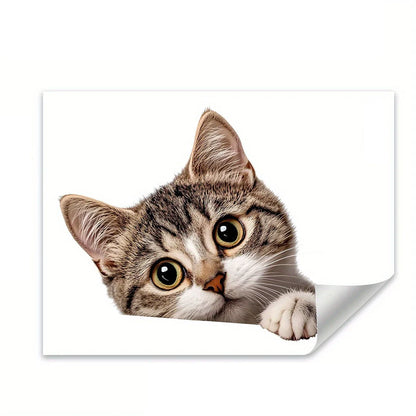 Cat Peeking Window Wall Sticker | Funny Home Decoration Decal