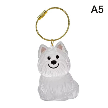 Clear Pet Hair Memorial Keepsake Capsule | Dog Fur Container Keychain for Pet Lovers
