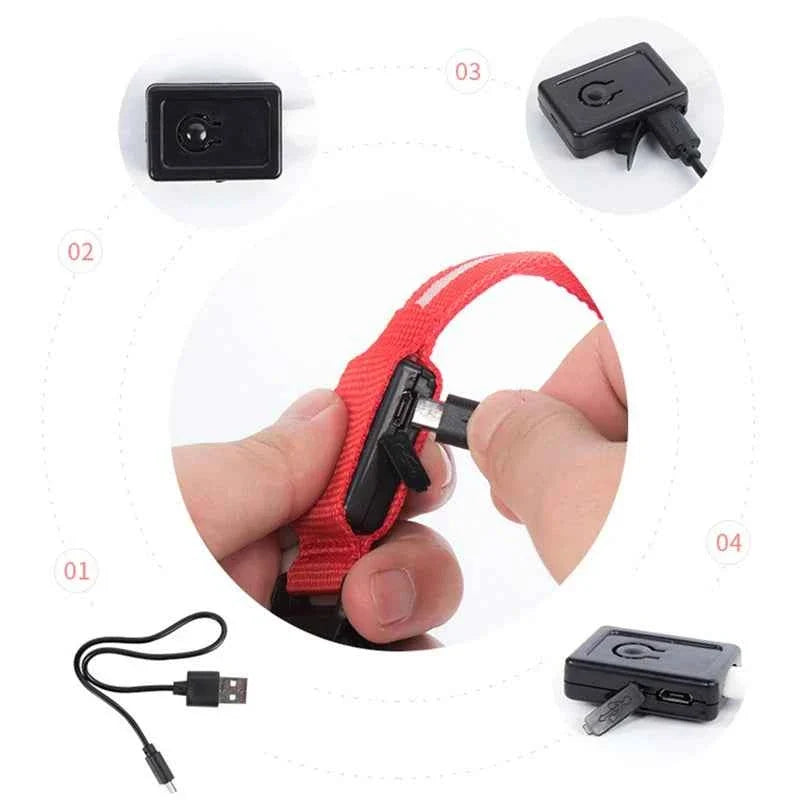 LED Pet Dog Collar for Night Safety | Bright USB Rechargeable