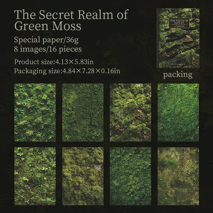 16 Sheets Nature Green Moss Theme Specialty Paper | Scrapbooking and Craft Supplies