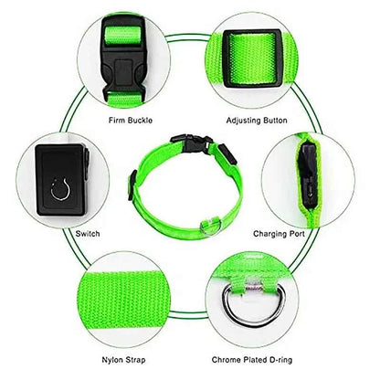 LED Pet Dog Collar for Night Safety | Bright USB Rechargeable