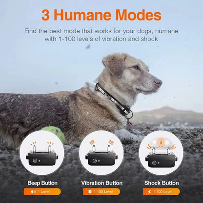 1000m Rechargeable Dog Training Collar With Remote Control
