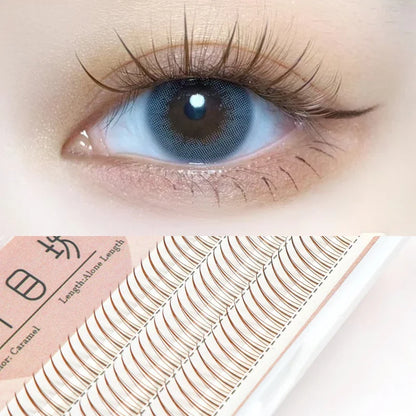 Brown Lashes A Type False Eyelashes 8-12mm | Natural Fairy Lash Clusters for Korean Makeup