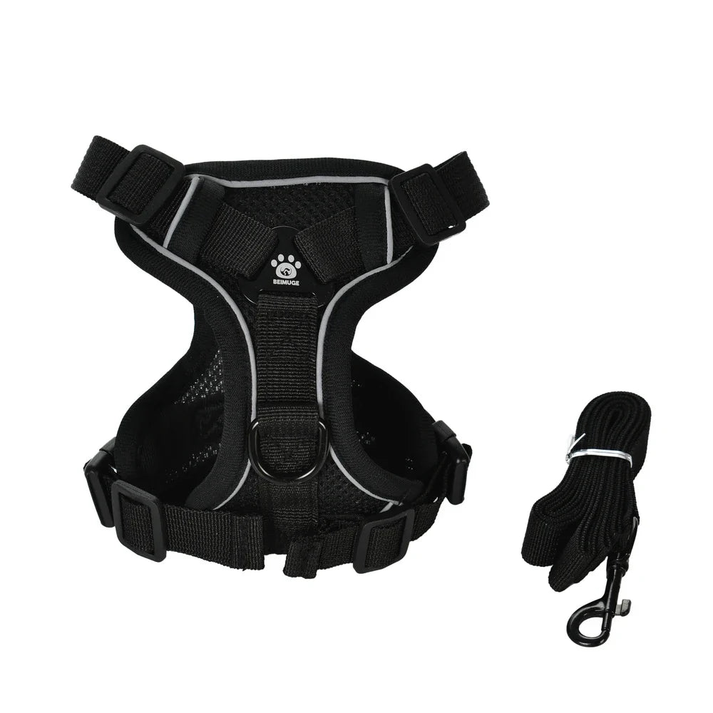 Secure escape proof cat harness with leash for outdoor adventures