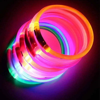 LED Pet Dog Collar for Night Safety | Bright USB Rechargeable