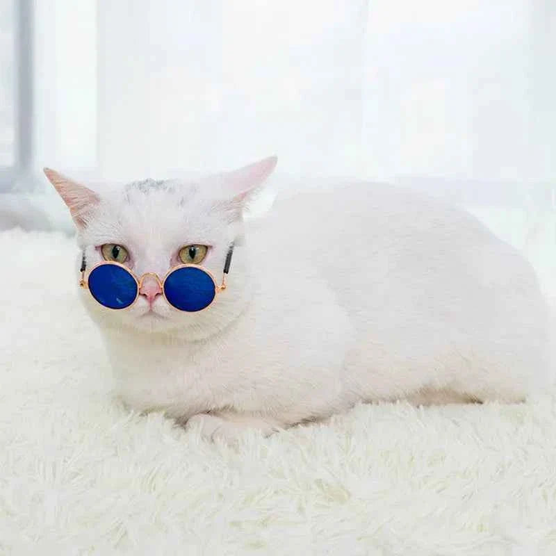Cat & Dog Sunglasses – UV Protection Pet Photo Props