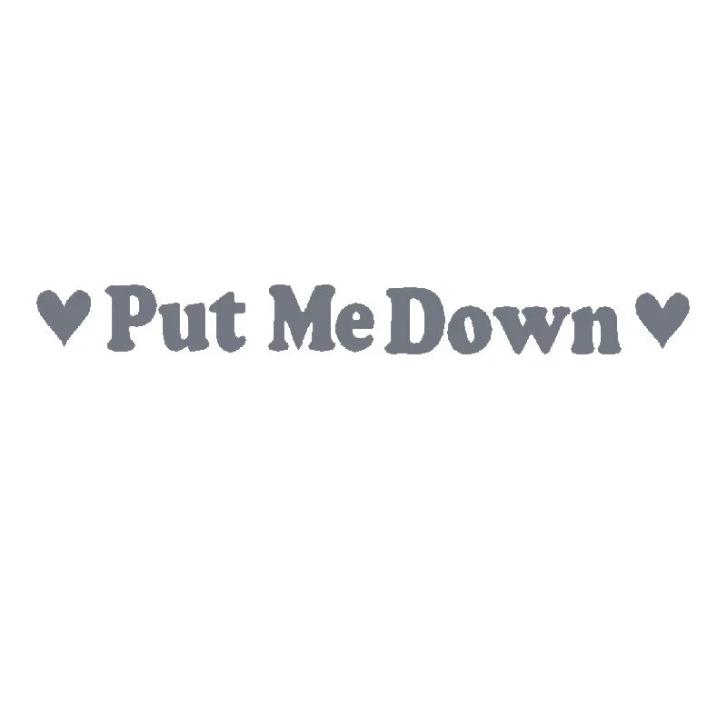 PUT ME DOWN Toilet Seat Reminder Sign | Funny Vinyl Bathroom Decal