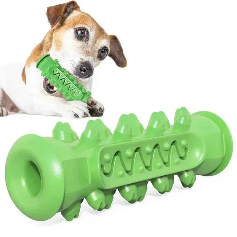 Chew-Resistant Rubber Dog Toy for Dental Health