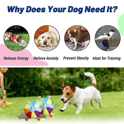 Rainbow Plush Flying Saucer Dog Toy – Interactive Chew & Training Disc
