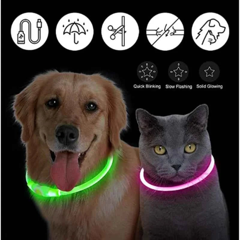 LED Pet Dog Collar for Night Safety | Bright USB Rechargeable