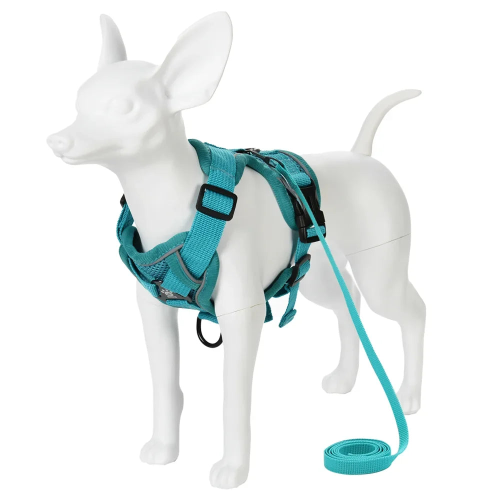 Secure escape proof cat harness with leash for outdoor adventures
