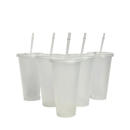 710ml Color Changing Straw Mug | Insulated Reusable Plastic Cup with Lid