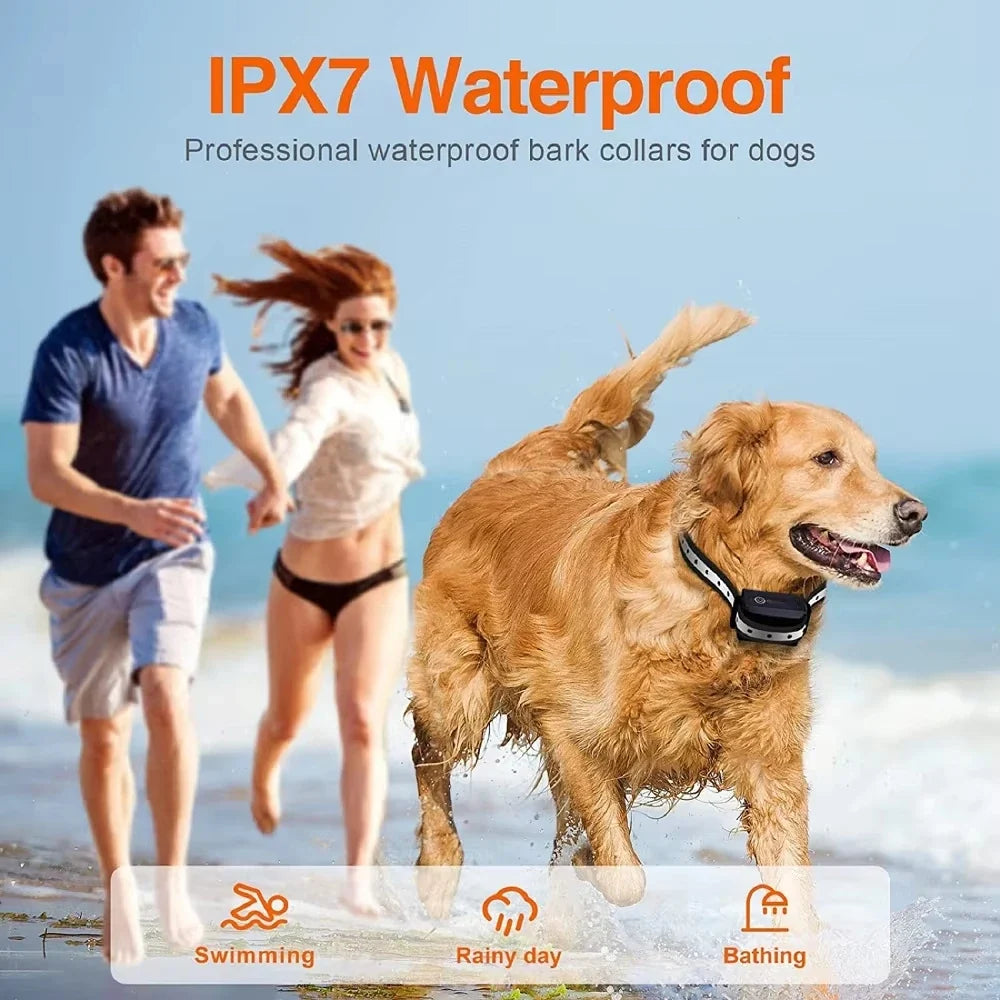 1000m Rechargeable Dog Training Collar With Remote Control