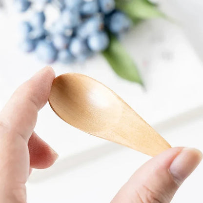 Wooden Mini Salt Spoon | Small Solid Wood Condiment Spoon