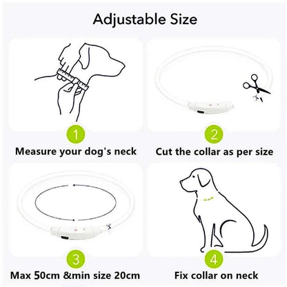 LED Pet Dog Collar for Night Safety | Bright USB Rechargeable