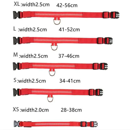LED Pet Dog Collar for Night Safety | Bright USB Rechargeable