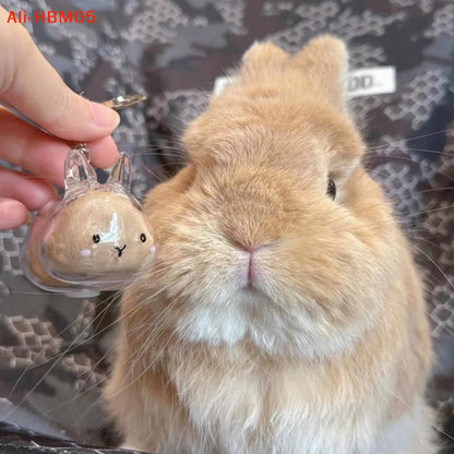 Transparent Rabbit Fur Storage Box Keychain | Pet Memorial Keepsake
