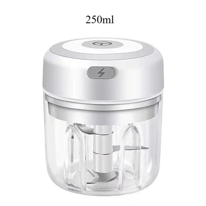 Electric Garlic Mincer 250ML Vegetable Chopper Food Chopper, USB Mini Garlic Mincer, Onion Chopper Portable Small Food Processor