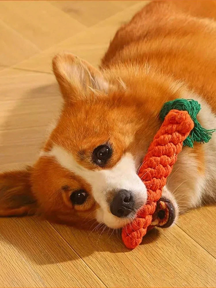 Durable Rope Knot Dog Toy – Hand-Woven Cotton Chew Toy for Small & Medium Dogs