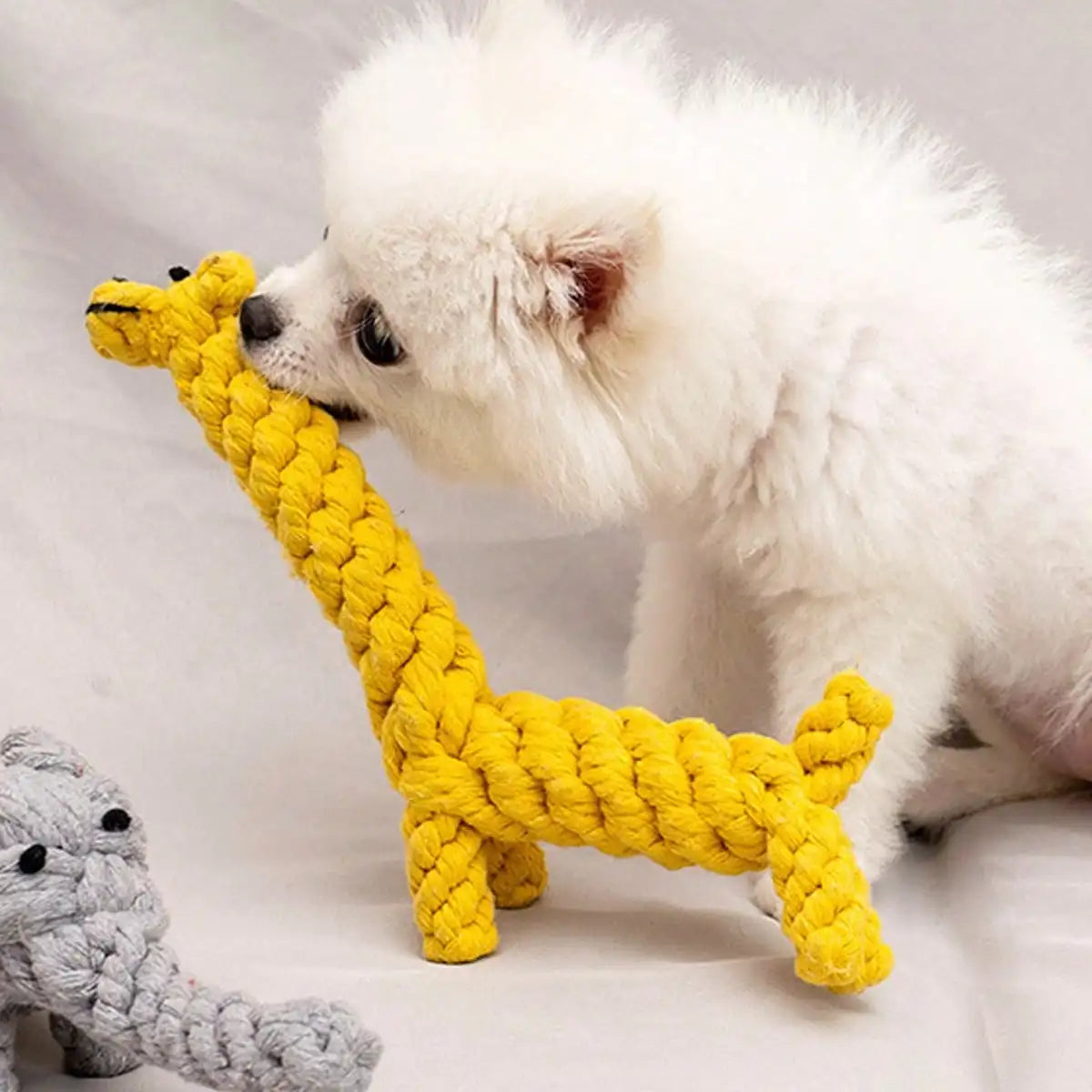Durable Rope Knot Dog Toy – Hand-Woven Cotton Chew Toy for Small & Medium Dogs