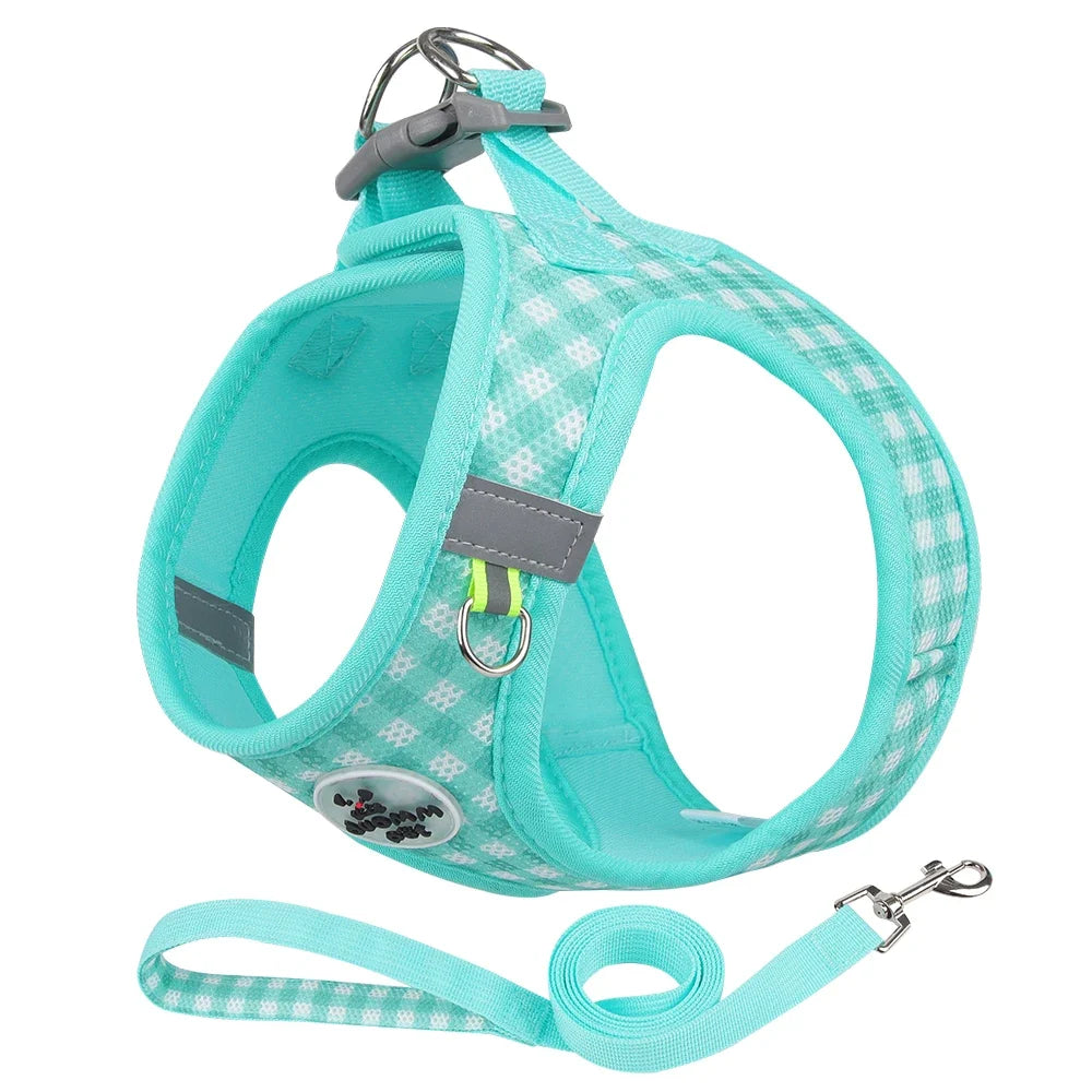 Stylish Checkered Cat Harness and Leash Set for Safe Adventures