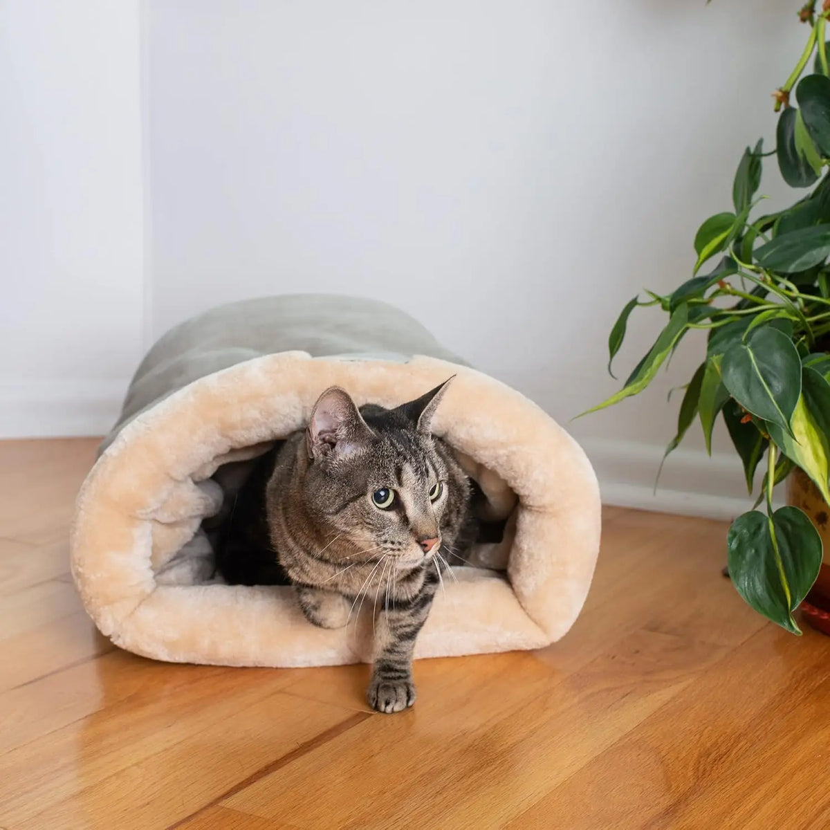 Autumn & Winter Cat Sleeping Bag - Warm, Semi-Enclosed Nest
