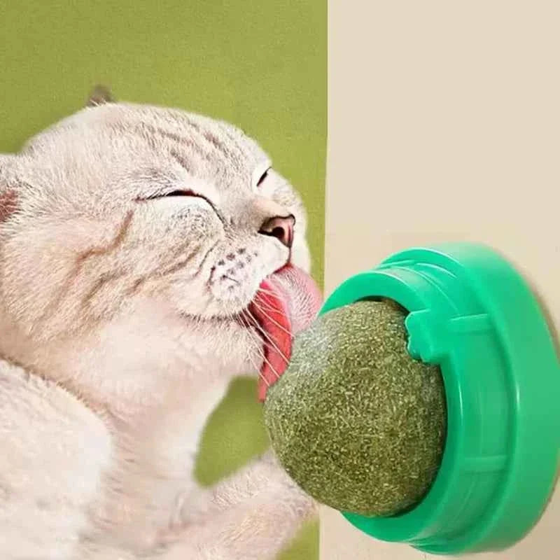 Catnip Wall Ball Treats – Digestive Aid & Fun for Cats