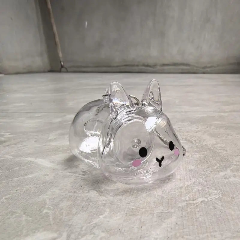 Cartoon Pet Hair Memorial Transparent Storage Box Keychain | Cute Animal Rabbit Fur Organizer Keychain Bag Pendant