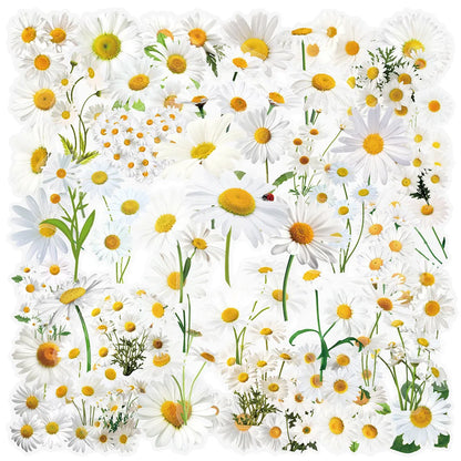 50 Transparent Flower Stickers | PET Decorative Craft Set for Journals and Notebooks