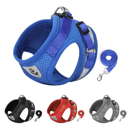Reflective Cat Harness and Leash for Every Adventure