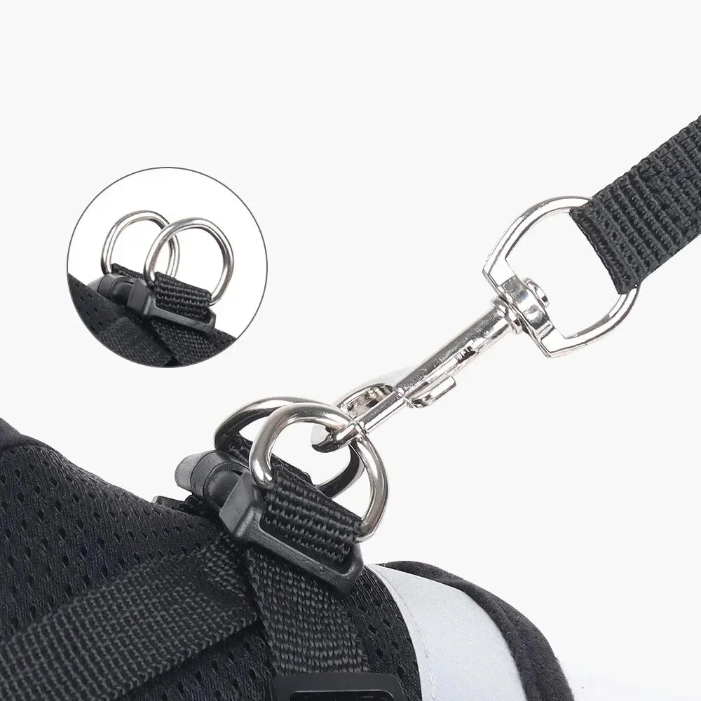 Reflective Cat Harness and Leash for Every Adventure