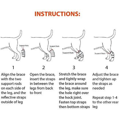 NeoAlly 3-in-1 Short Rear Leg Hock Brace for Smaller Dogs with Rigid and Spring Inserts | Safety Reflective Straps [Short Version] (Pair)