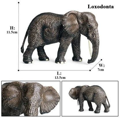 African Elephant Model | Realistic PVC Wildlife Figurine